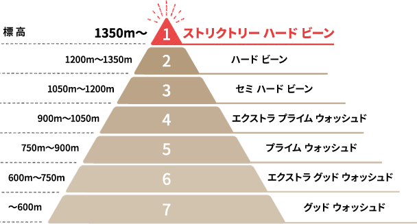 図：グアテマラ産コーヒー豆のグレード