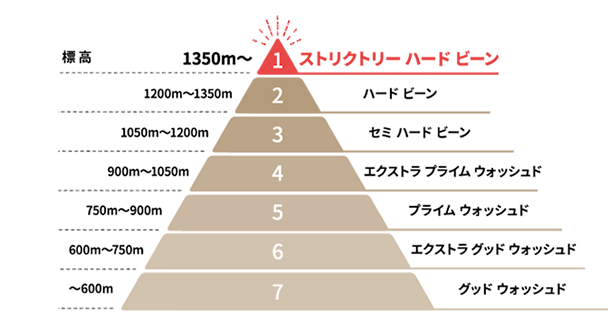 図：グアテマラ産コーヒー豆のグレード